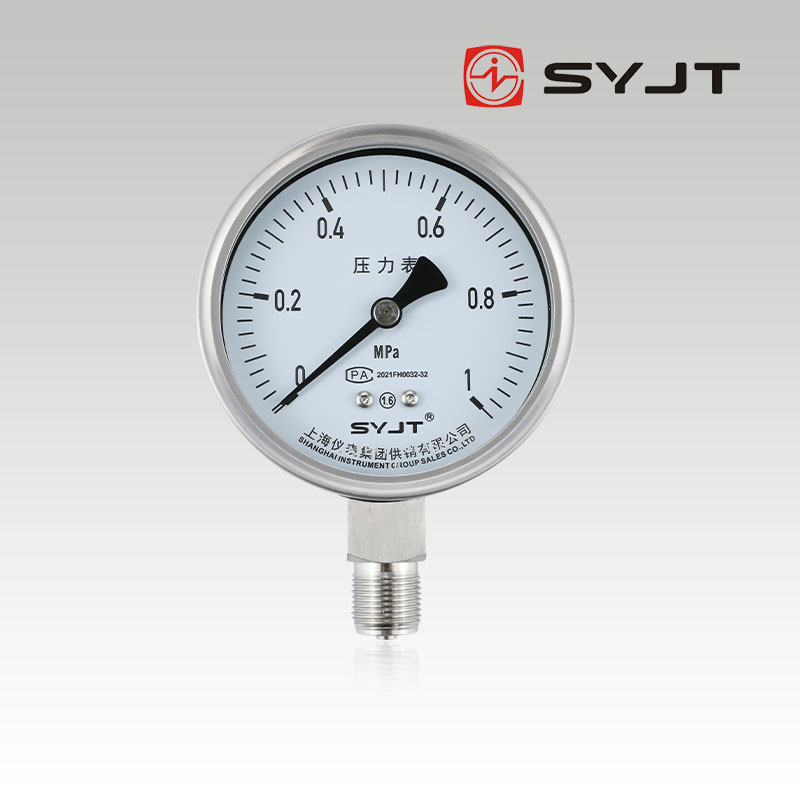 www91ncomY-100BF不鏽鋼壓力表