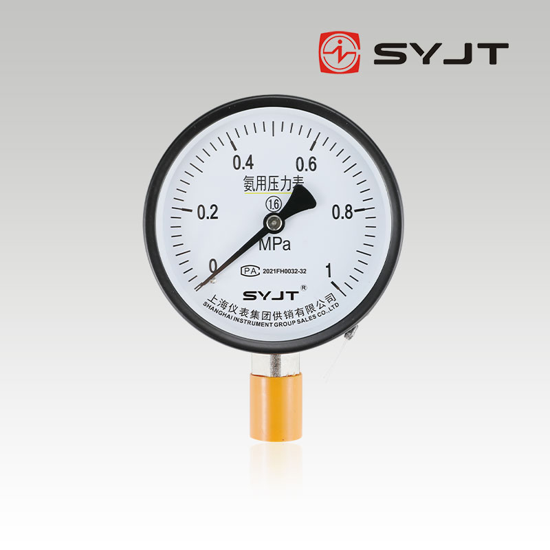 www91ncomYA-100氨（ān）用壓（yā）力表