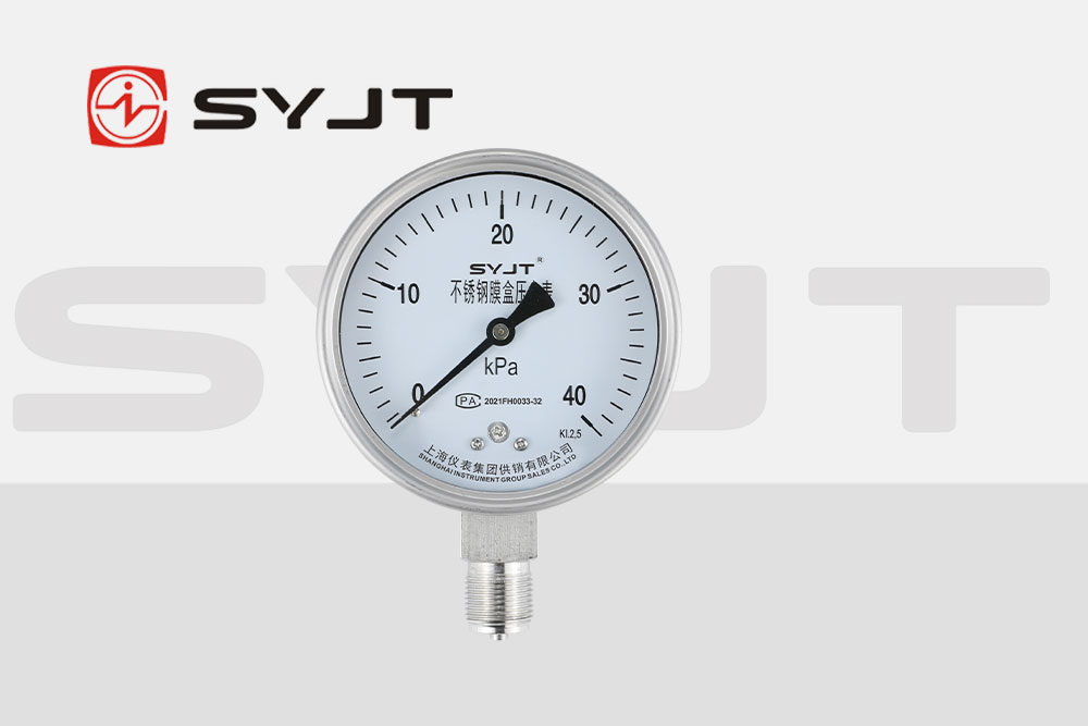 syjt膜盒壓力表(biǎo)1.jpg