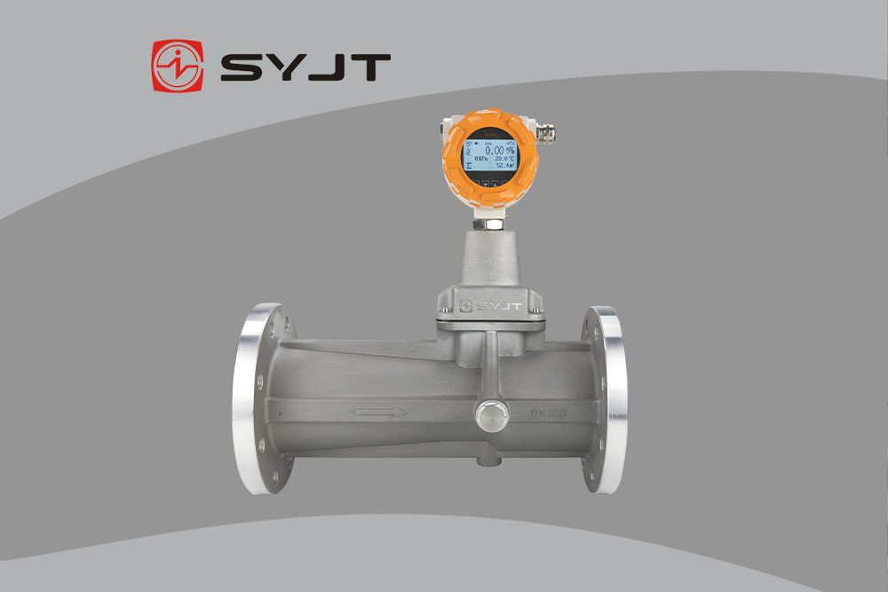 旋進漩渦流量計1.jpg