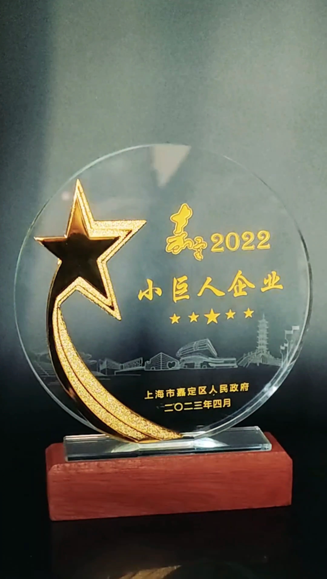 公司喜獲小巨人企（qǐ）業和創新發展（zhǎn）先鋒企業（yè）稱號
